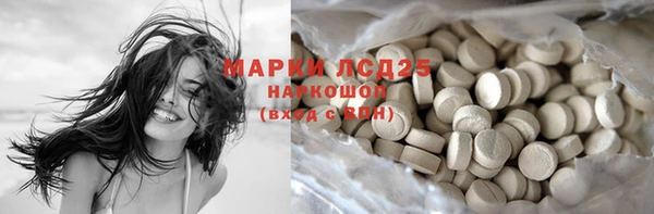 амф Вязьма