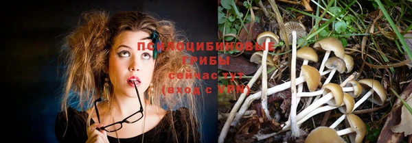 амф Вязьма