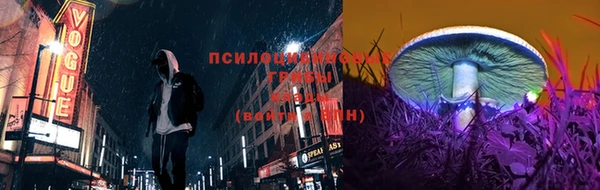 амф Вязьма