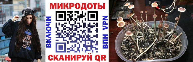 блэк спрут ONION  Нижневартовск  Псилоцибиновые грибы ЛСД 